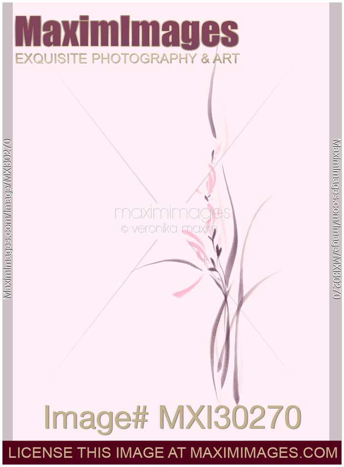 Elegant pink orchid flowers artistic floral design on light pink background