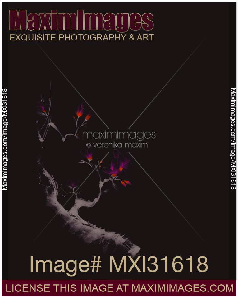 Enchanting oriental artwork of a budding sakura branch with deep violet flowers