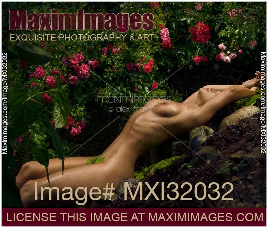 Erotic portrait of a beautiful sexy woman with wet naked body lying in a tropical rose garden under pouring rain