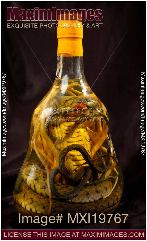 Photo of Exotic drink with snakes Stock Image MXI19767