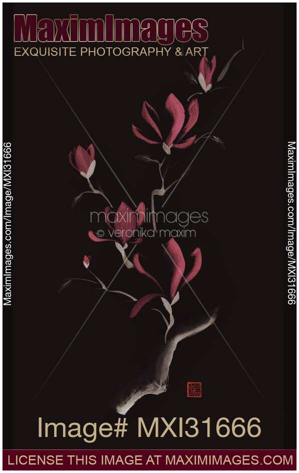 Exquisite dark sumi-e design of magnolia branch with large pink flowers on black
