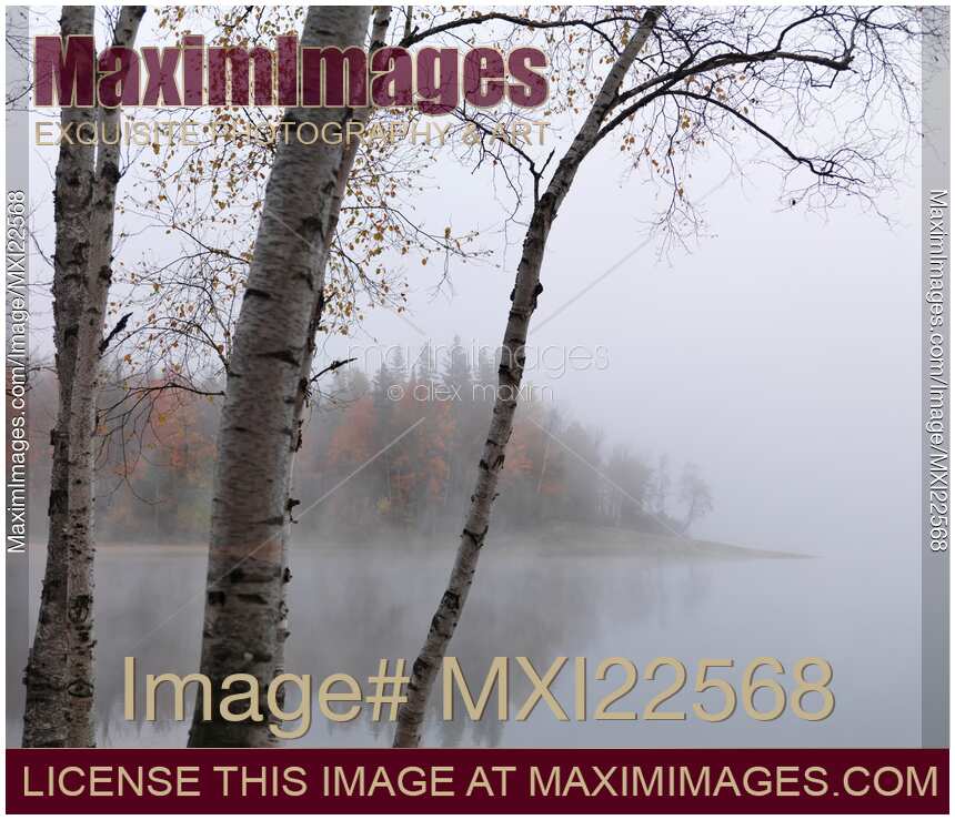 Fall Nature Scenery of a Lake