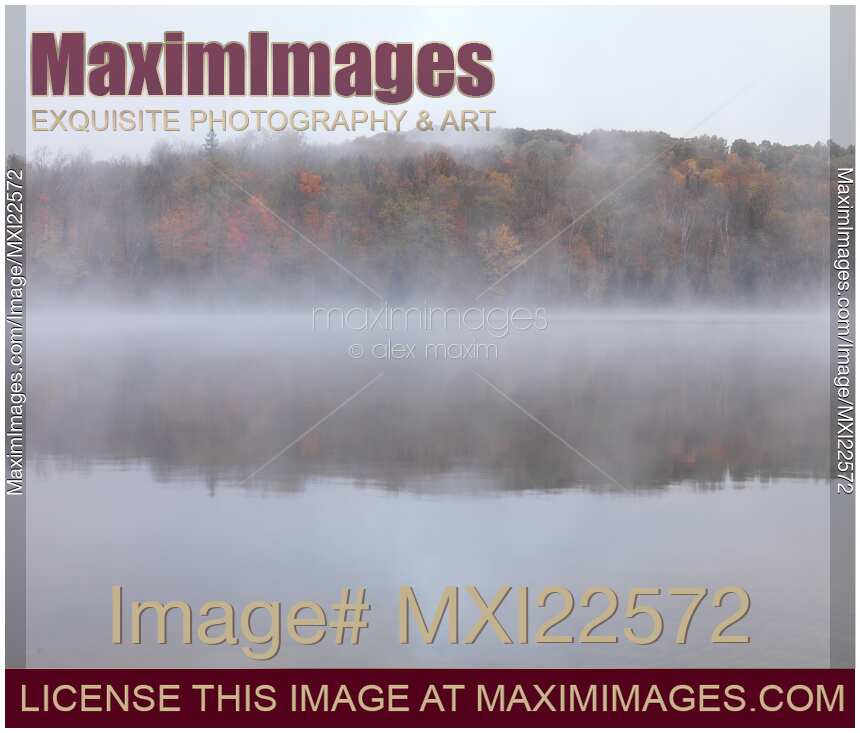 Fall Nature Scenery of a Lake