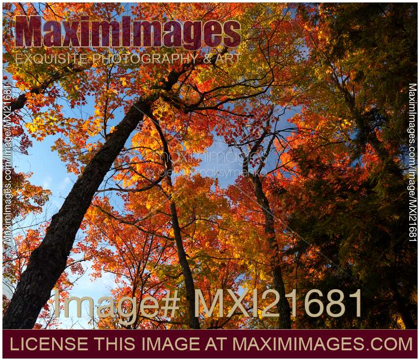 Fall Nature Scenery