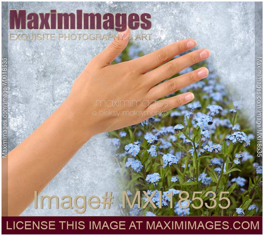 Field of flowers behind a frozen window