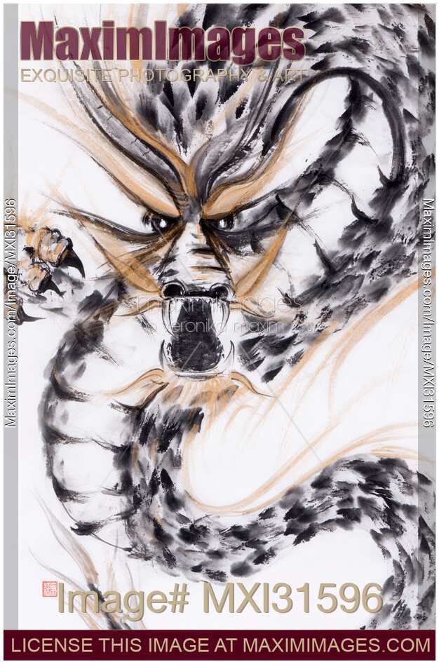 Fierce face of a coiled asian dragon sumi-e ink painting