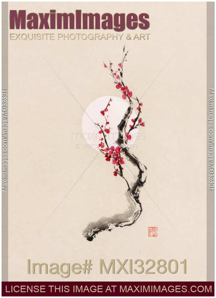 Fine art Illustration of plum blossom oriental sumi-e Zen painting