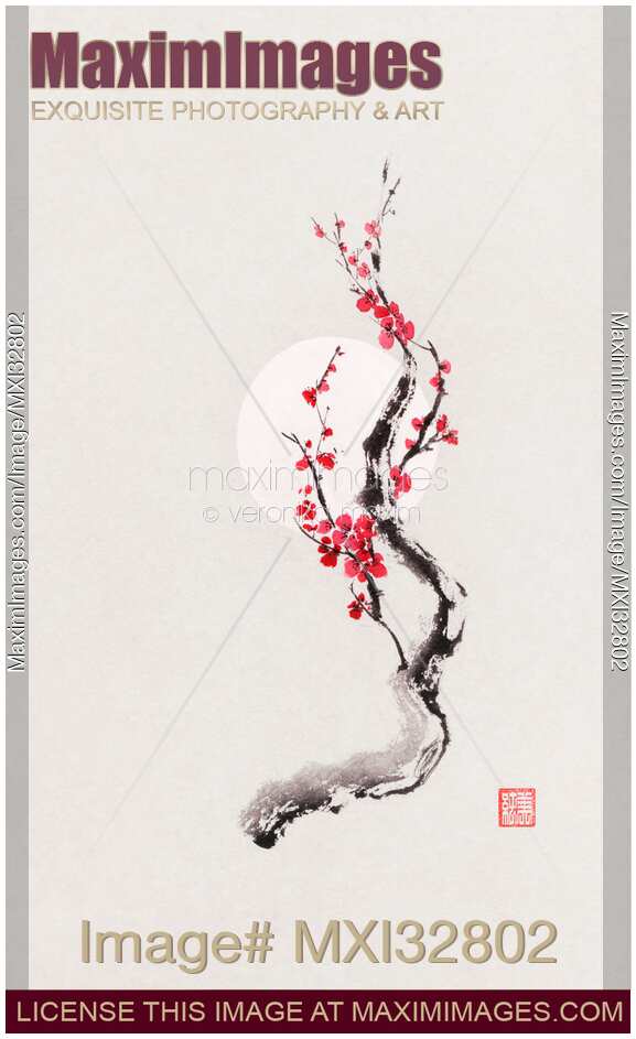 Fine art Illustration of Sakura iconic cherry blossom oriental sumi-e Zen painting