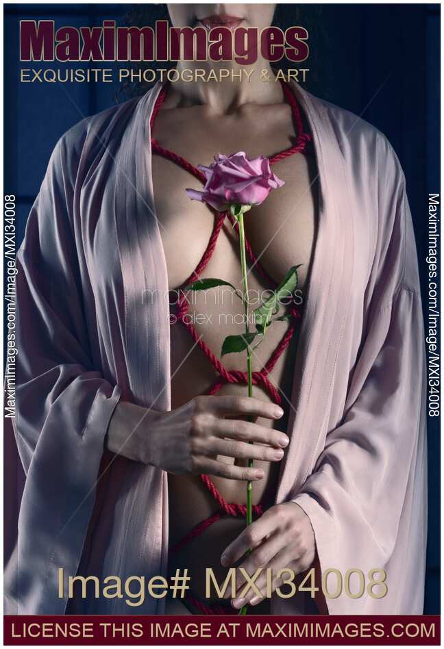 Fine art nude closeup of a woman with red ropes of Shibari bondage tied around her naked body holding a pink rose