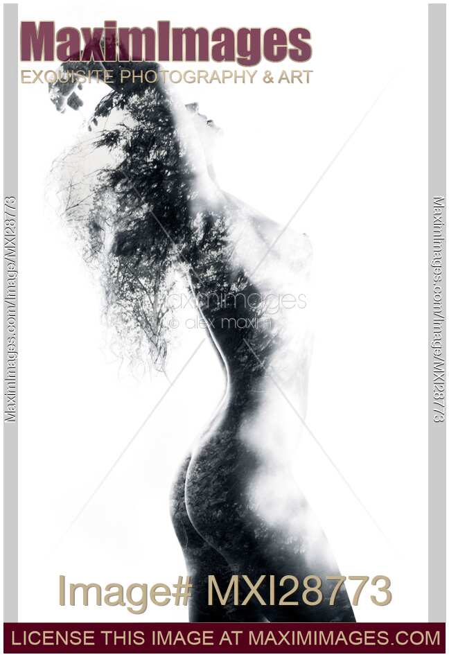 Fine art nude of woman body with trees and leaves exposed on it