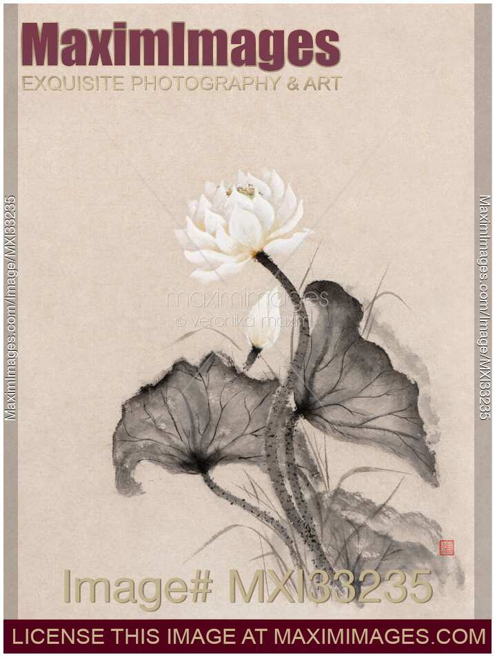 Fine art oriental Zen painting of a blooming white lotus flower and a bud with leaves