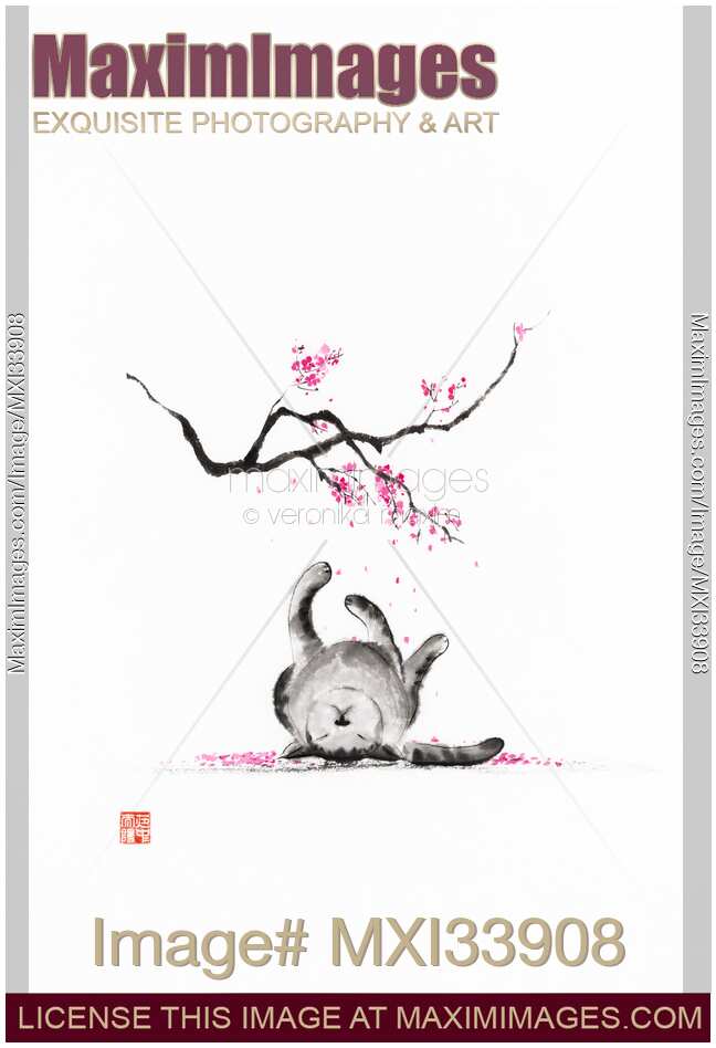 Fine art sumi-e painting illustration of a cute cat lying asleep under sakura tree blossoms
