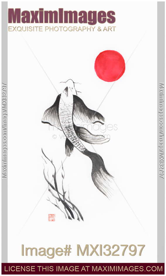 Fine art sumi-e painting of Japanese Koi fish with red sun on white