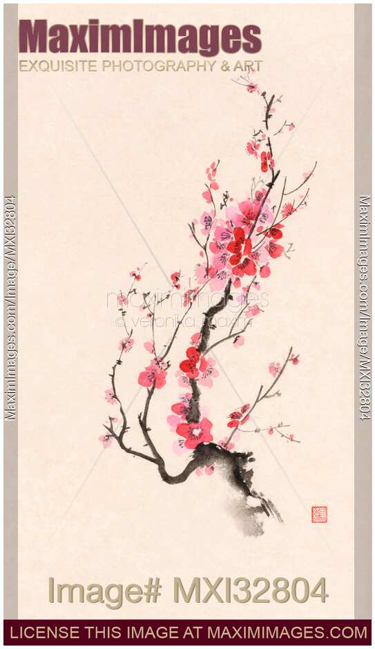 Fine art Sumi-e painting of Japanese plum tree blossom or sakura branch with red and pink flowers