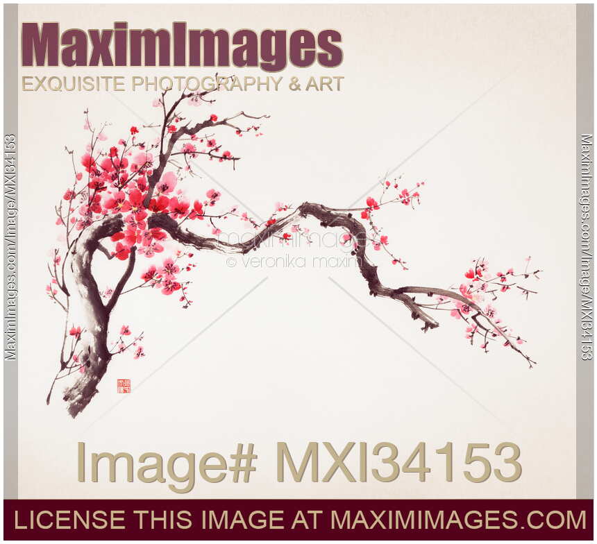 Fine art Zen Sumi-e painting of a crooked blossoming sakura branch with red flowers on ivory paper background