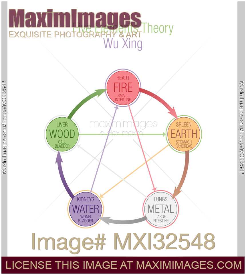 Five Elements Theory Wuxing Wu Xing in Taoism and TCM