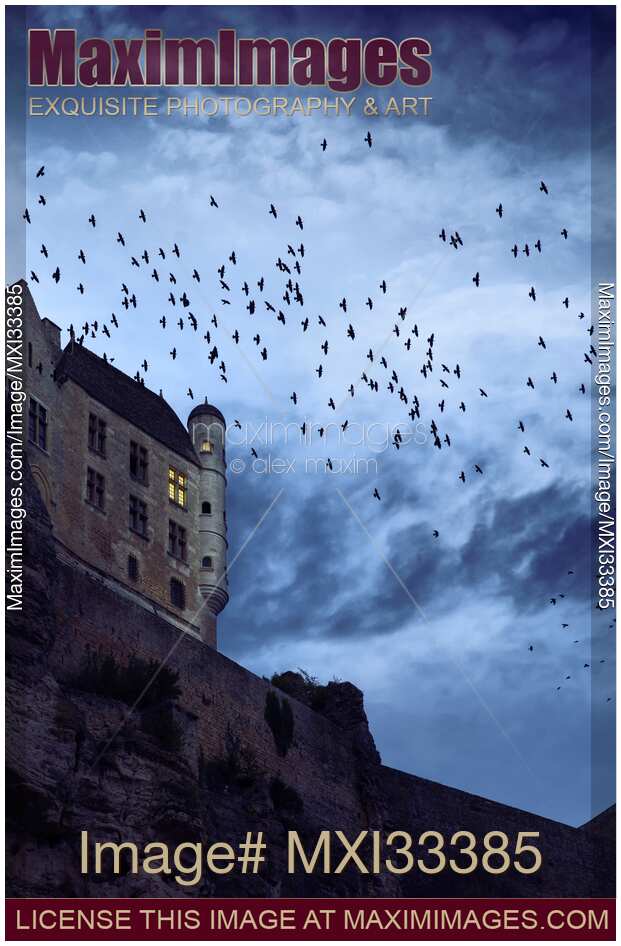 Flock of crows flying over a French stone castle on a mountain cliff under dramatic stormy twilight sky