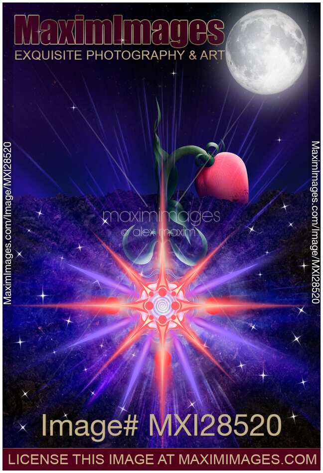 Flower rising from the soil with blossom in its root underground