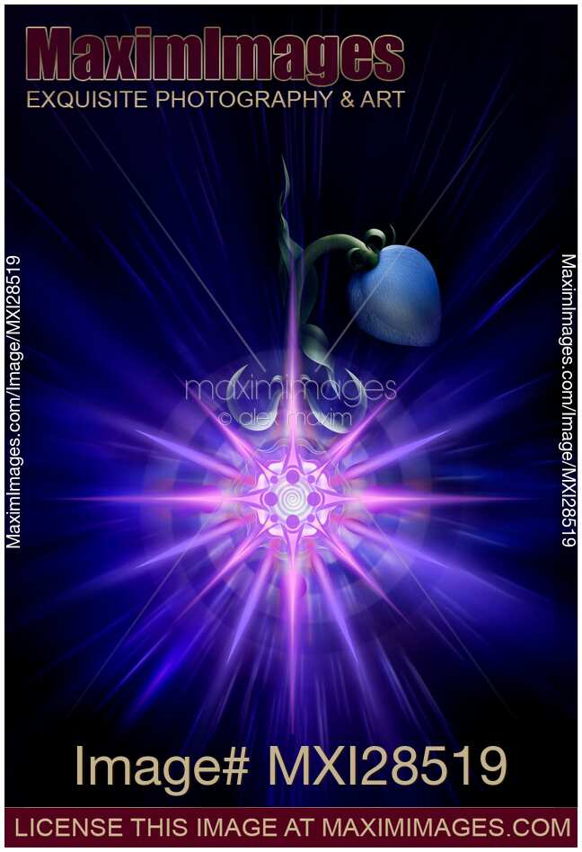 Flower with a magical bloom in its root
