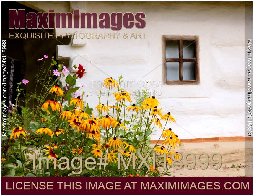 Flowers near old country house in Ukraine