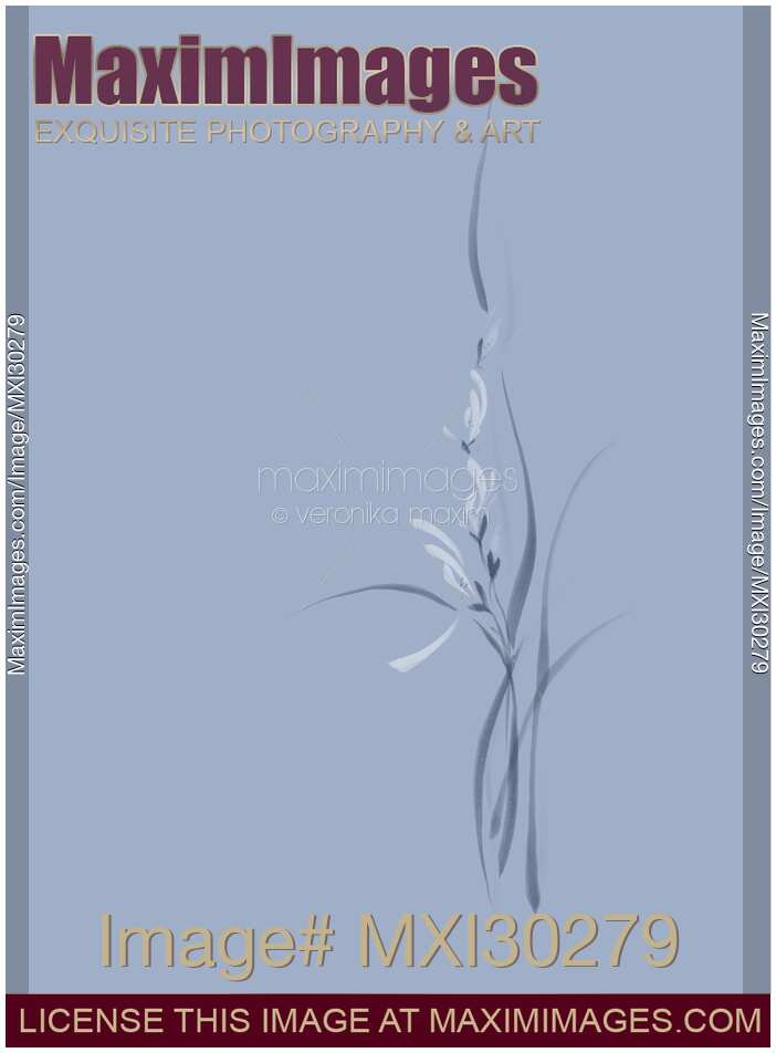Flowers of orchids artistic floral design on blue background
