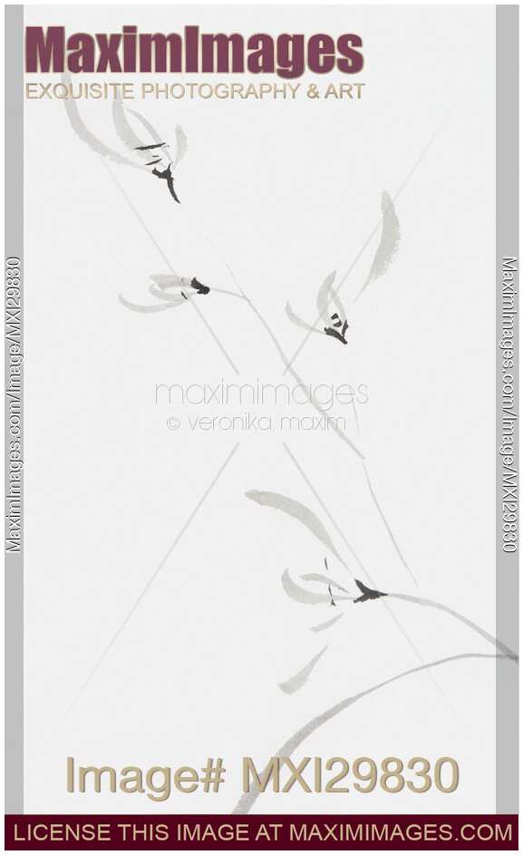 Flowers of wild orchids Japanese Sumie Zen floral monochrome fine art painting