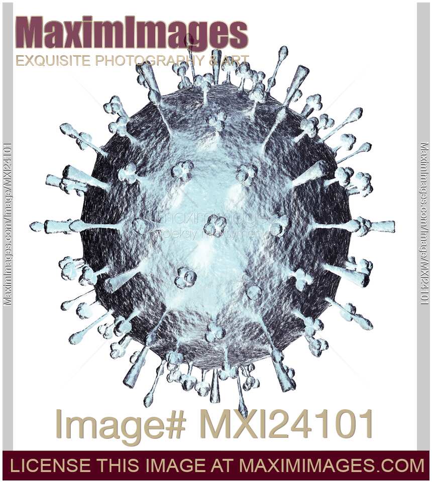 Flu virus Influenza A particle