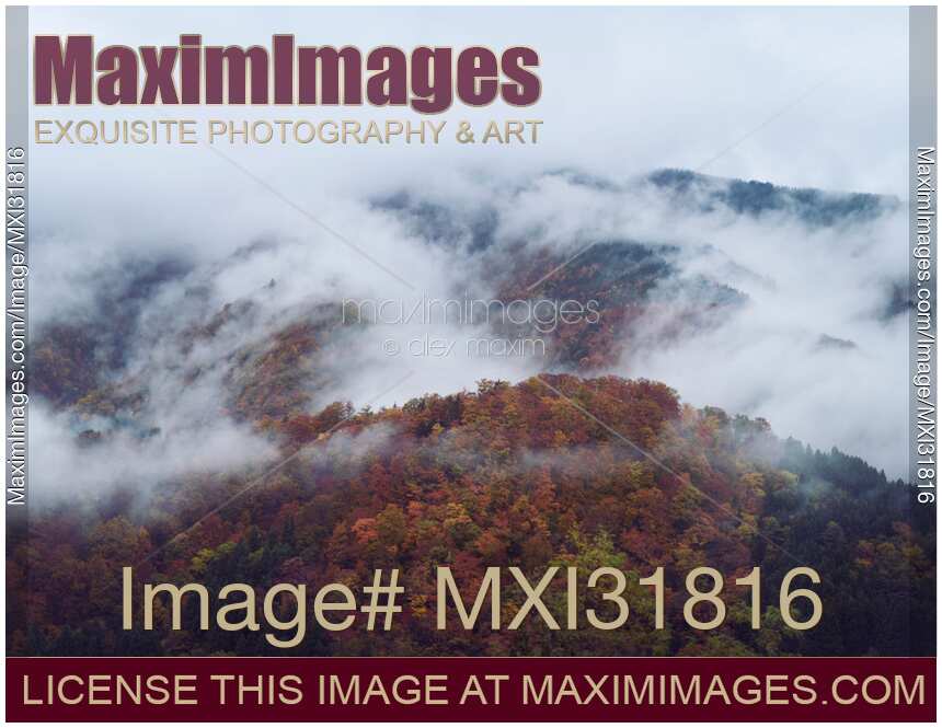 Fog covered hills in atmospheric aerial autumn nature scenery
