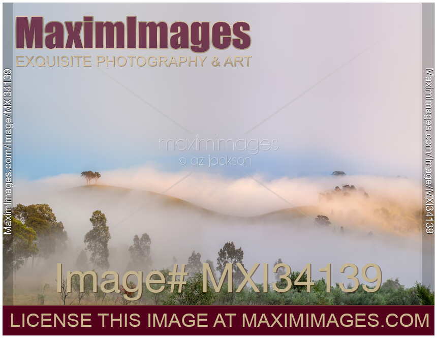 Fog covered hills in misty landscape of Hunter Valley, Australia