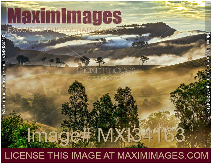 Fog covered hills in misty sunset landscape of Hunter Valley, Australia