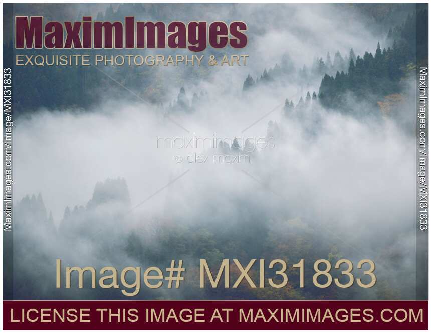 Fog covered mountain forest abstract nature scenery Toyama Japan