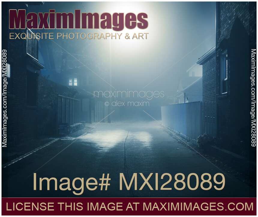 Foggy nighttime scenery of a street