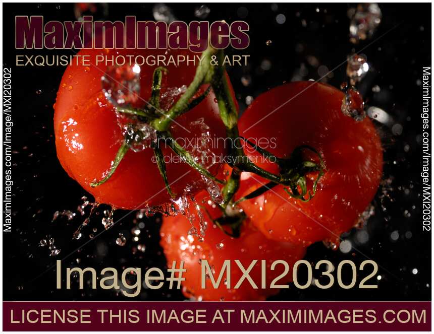 Fresh juicy tomatoes in water