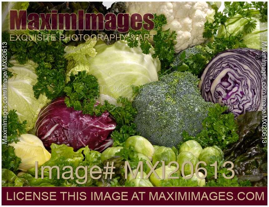 Fresh Vegetable Still Life