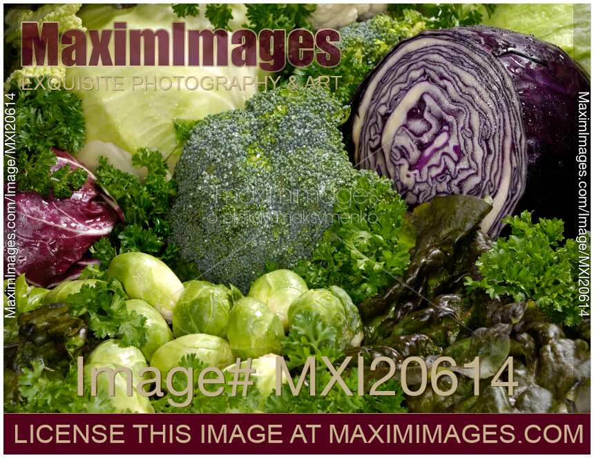 Fresh Vegetable Still Life