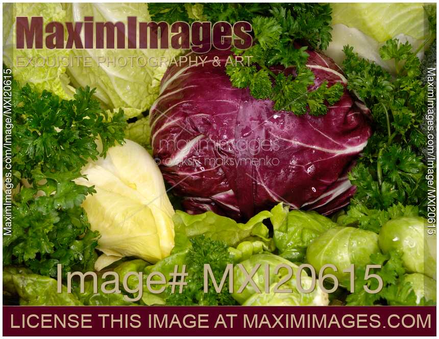 Fresh Vegetable Still Life