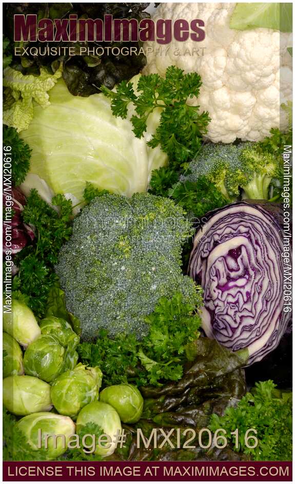 Fresh Vegetable Still Life