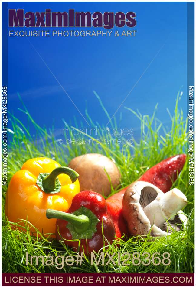 Fresh vegetables peppers and mushrooms still life in green grass
