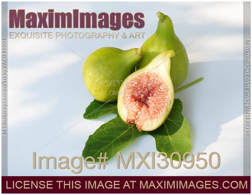 Photo of Freshly picked ripe organic Kadota figs and a fig leaf on