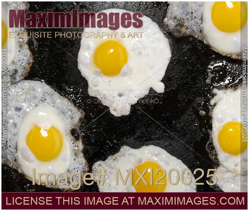 Fried Eggs