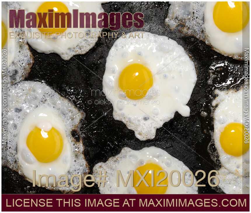 Fried Eggs