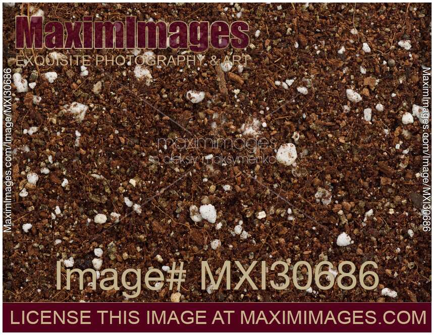 Germination media or soilless growing potting mix of coconut coir vermiculite and perlite closeup of texture of particles