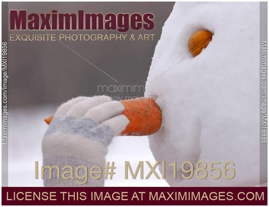 Girl inserting snowman carrot nose