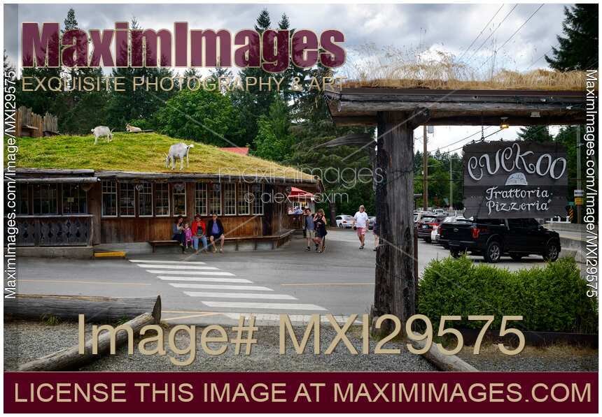 Goats on Roof of Old Country Market in Coombs Vancouver Island