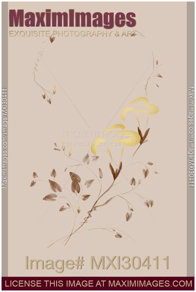 Golden Morning Glory flowers Sumi-e illustration artistic design on beaige background