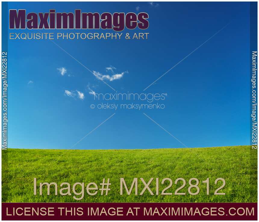 Grassland Landscape Under Blue Sky