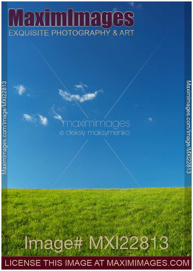 Grassland Landscape Under Blue Sky