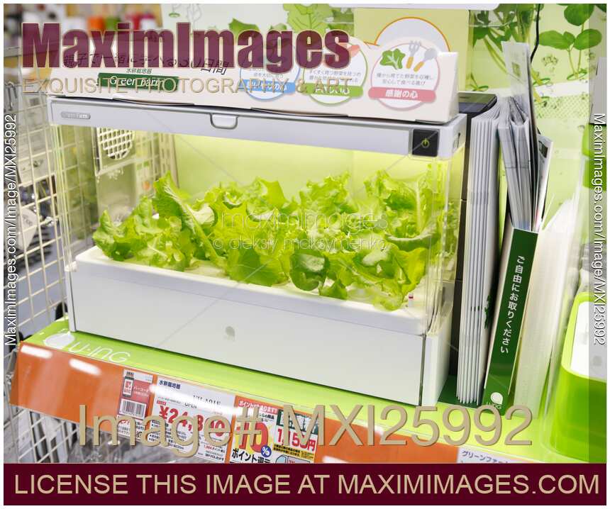 Green Farm home hydroponic gardening unit