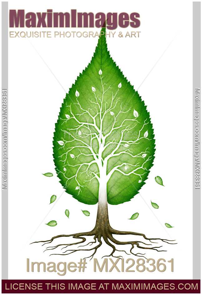 Green leaf shaped tree nature fractals concept