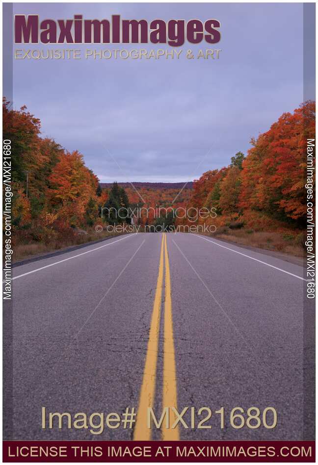 Highway Surrounded with Colorful Autumn Nature